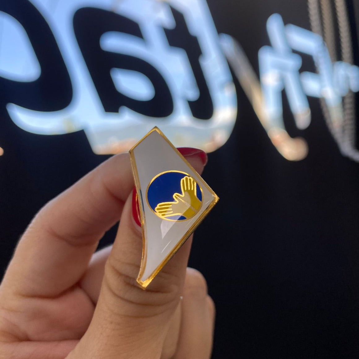 Pin tipo Colita Air Deccan