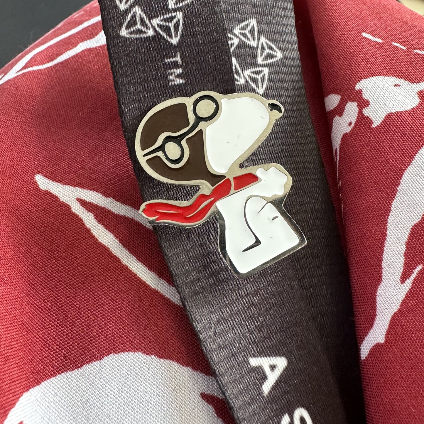 Pin snoopy